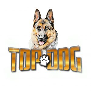 Top Dog - Piracicaba/SP